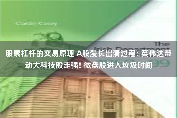 股票杠杆的交易原理 A股漫长出清过程: 英伟达带动大科技股走强! 微盘股进入垃圾时间