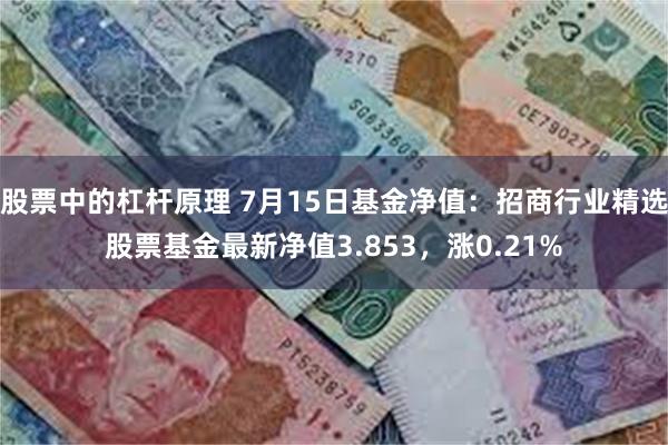 股票中的杠杆原理 7月15日基金净值：招商行业精选股票基金最新净值3.853，涨0.21%