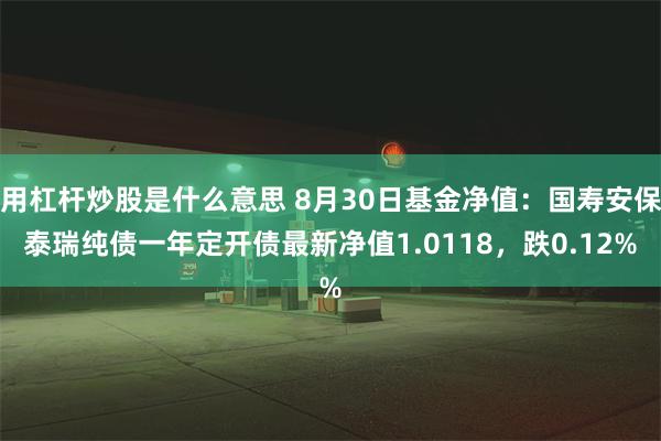 用杠杆炒股是什么意思 8月30日基金净值：国寿安保泰瑞纯债一年定开债最新净值1.0118，跌0.12%