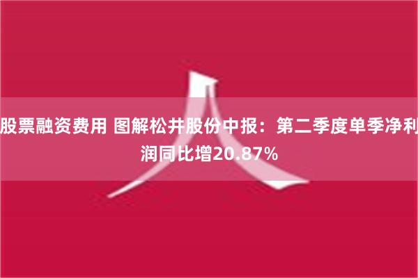 股票融资费用 图解松井股份中报：第二季度单季净利润同比增20.87%