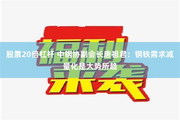 股票20倍杠杆 中钢协副会长唐祖君：钢铁需求减量化是大势所趋