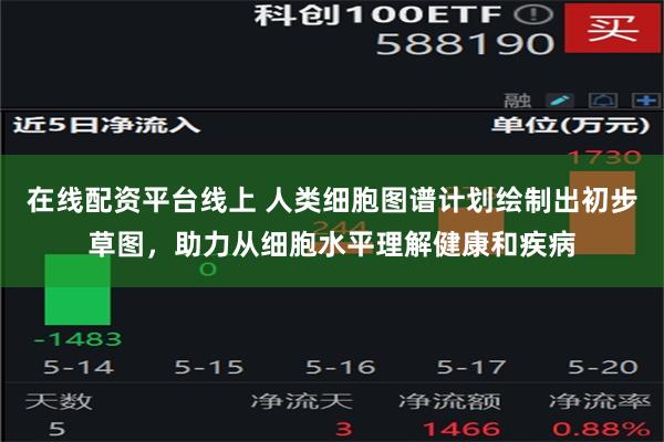 在线配资平台线上 人类细胞图谱计划绘制出初步草图，助力从细胞水平理解健康和疾病