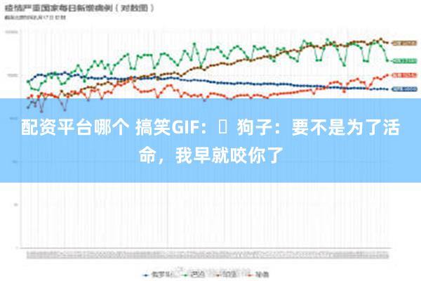 配资平台哪个 搞笑GIF：​狗子：要不是为了活命，我早就咬你了