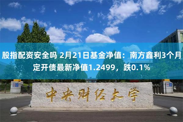 股指配资安全吗 2月21日基金净值：南方鑫利3个月定开债最新净值1.2499，跌0.1%